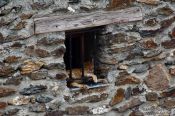 Travel photography:Cat taking a siesta in Pampaneira, Spain