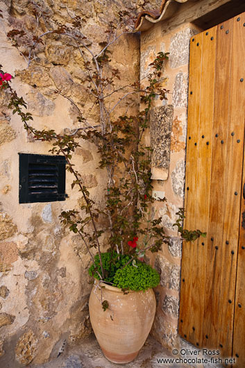 Flower pot in Deiá