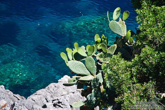 View of the turquoise water at Sa Calobra