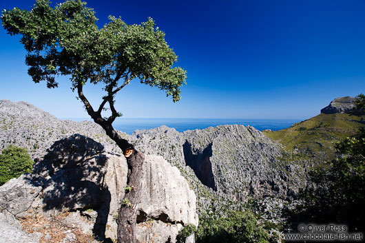 Panoramic view in the Serra de Tramuntana mountains