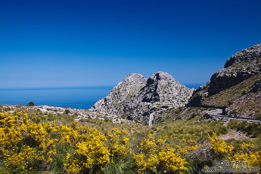 Serra de Tramuntana mountain landscape