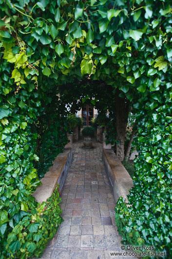 Ivy-covered archway in the Valldemossa Cartuja Carthusian monastery gardens