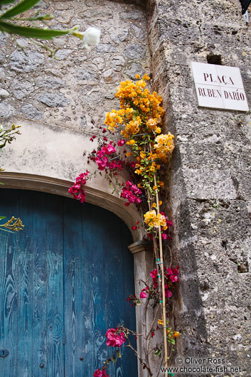 Flowers in Valldemossa village