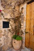 Travel photography:Flower pot in Deiá, Spain
