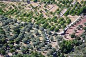 Travel photography:Plantations near Lluc, Spain