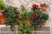 Travel photography:Flowers at a house in Valldemossa village, Spain