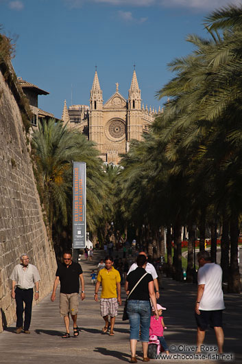 Promenade along the sea side of Palma with the cathedral La Seu in the background