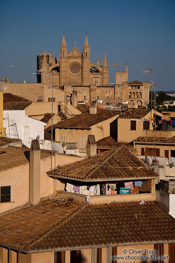 View of the Palma cathedral La Seu and old town during sun set