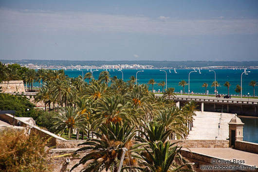 View of Palma harbour