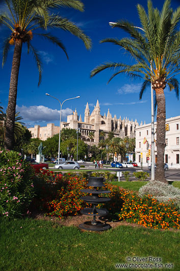 La Seu cathedral in Palma