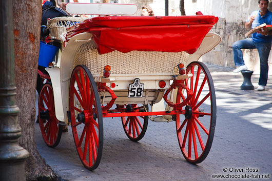 Horse cart in Palma