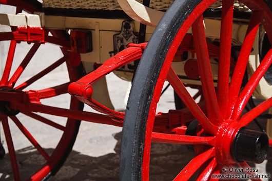 Horse cart in Palma