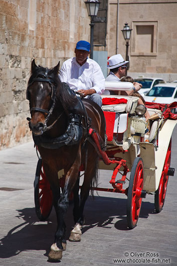 Horse cart with tourists in Palma