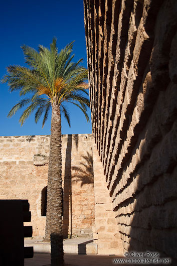 Courtyard of the Palma Modern Art Museum