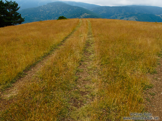 Tire tracks in the Alto Pirineo National Park