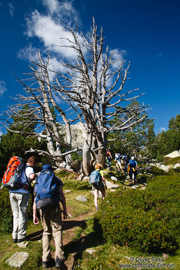 Hikers near the Pic de Bastiments