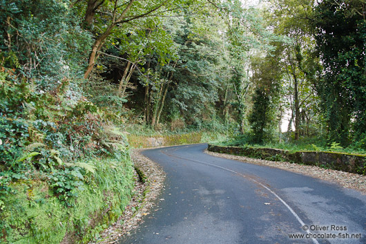 Road in San Sebastian