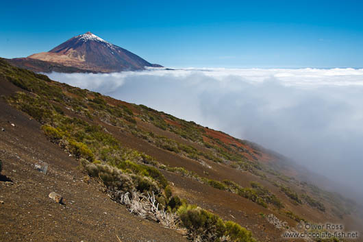 View of the Teide Volcano rising above a sea of clouds