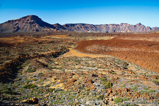 View over Teide National Park