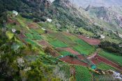 Travel photography:Terraces in Anaga Rural Park on Tenerife, Spain