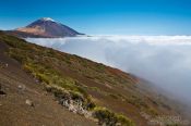 Travel photography:View of the Teide Volcano rising above a sea of clouds, Spain