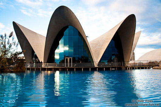 The Valencia Aquarium