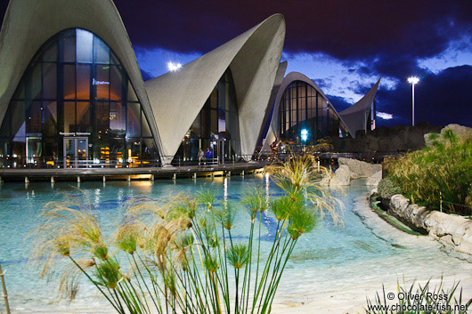 The Valencia Aquarium by night