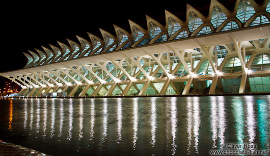 The science museum (Museo de las Ciencias) in the Ciudad de las artes y ciencias in Valencia