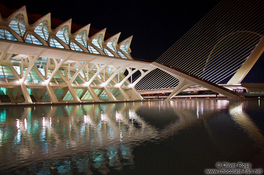 The science museum (Museo de las Ciencias) in the Ciudad de las artes y ciencias in Valencia