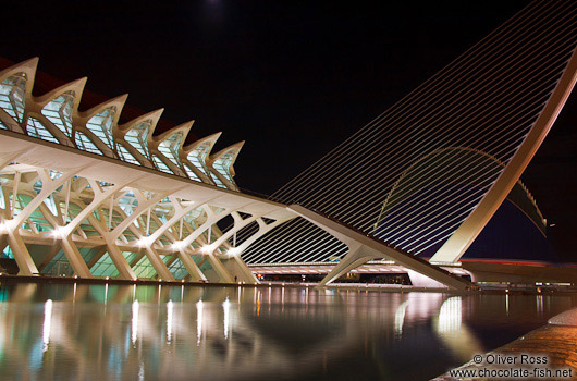 View of the science museum (Museo de las Ciencias) plus Agora in the Ciudad de las artes y ciencias in Valencia