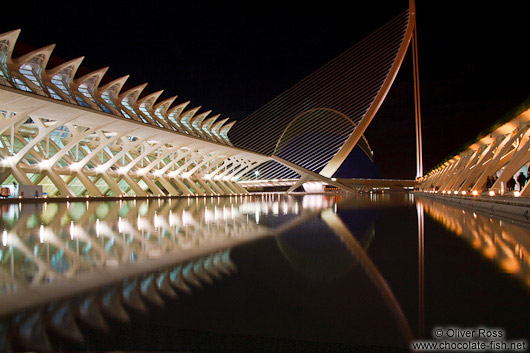 View of the science museum (Museo de las Ciencias) plus Agora in the Ciudad de las artes y ciencias in Valencia