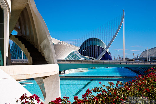 The Ciudad de las artes y ciencias in Valencia