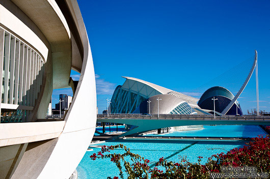 The Ciudad de las artes y ciencias in Valencia