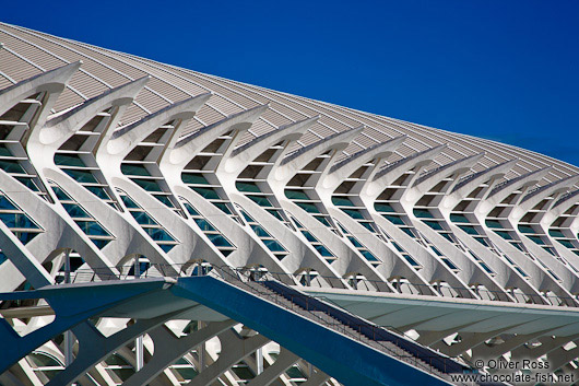 Facade detail of the Science Museum (Museo de las Ciencias) in the Ciudad de las artes y ciencias in Valencia