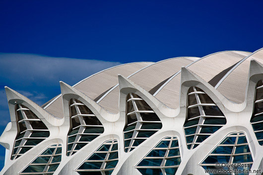 Facade detail of the Science Museum (Museo de las Ciencias) in the Ciudad de las artes y ciencias in Valencia