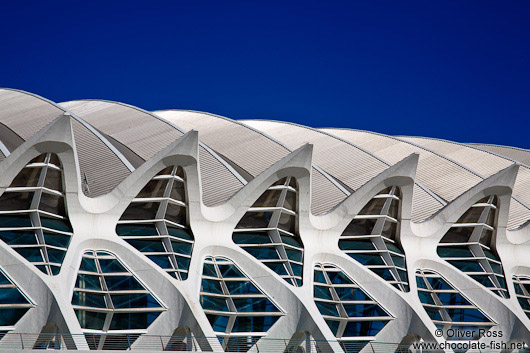 Facade detail of the Science Museum (Museo de las Ciencias) in the Ciudad de las artes y ciencias in Valencia