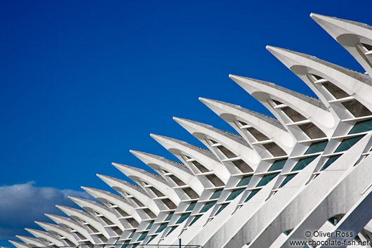 Facade detail of the Science Museum (Museo de las Ciencias) in the Ciudad de las artes y ciencias in Valencia