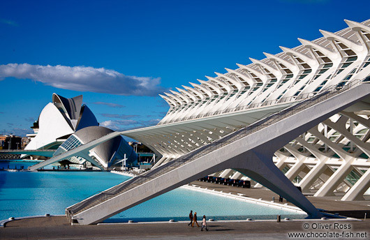 View of the Science Museum (Museo de las Ciencias) in the Ciudad de las artes y ciencias in Valencia