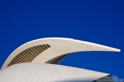 Roof detail of the Palau de les Arts Reina Sofía opera house in the Ciudad de las artes y ciencias in Valencia