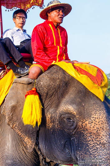 Tourists riding on an elephant through Ayutthaya