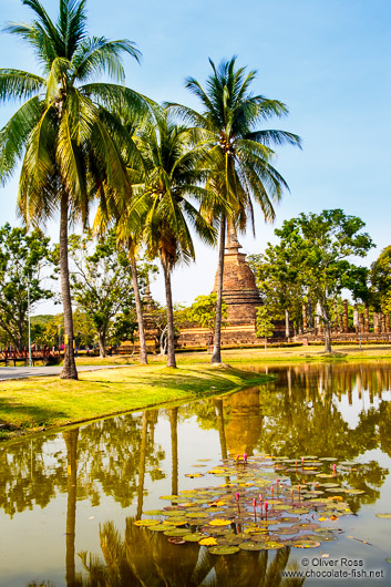 Stupas at the Sukhothai temple complex