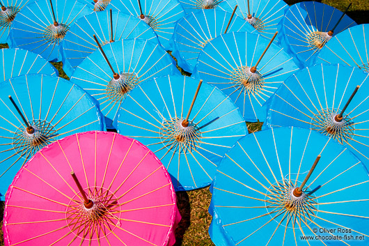 Parasols drying in the sun at the Bo Sang parasol factory
