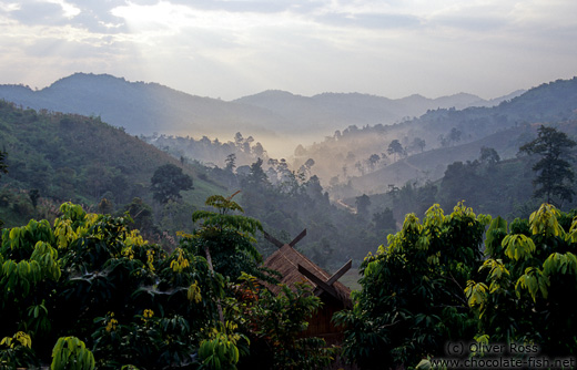 Valley near Doi Hang