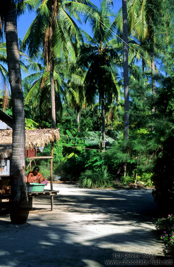 Chao Leh houses on Ko Lipe island