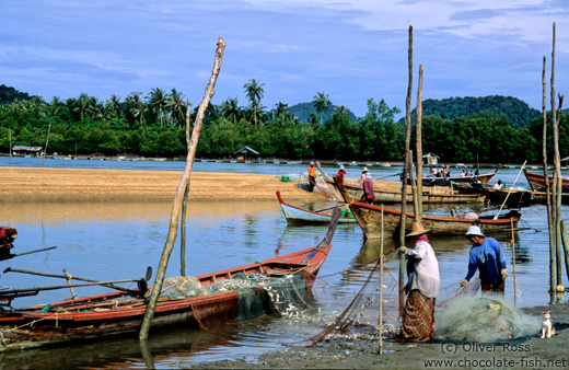 Fishermen in Pak Bara