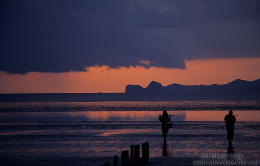 People returning from fishing at sunset near Trang