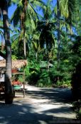 Travel photography:Chao Leh houses on Ko Lipe island, Thailand