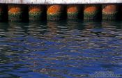 Travel photography:Peer in Istanbul harbour, Turkey