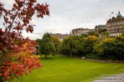 Travel photography:Edinburgh park, United Kingdom