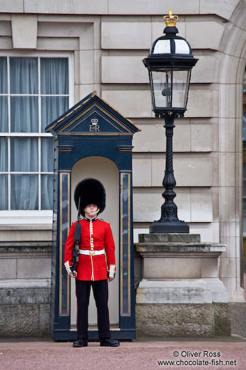 Guard outside Buckingham Palace in London